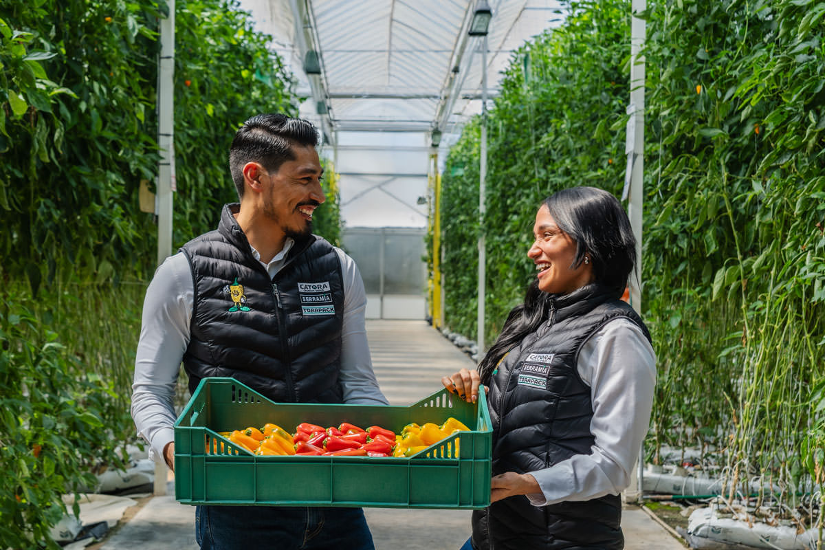 placeholder image-sq